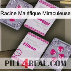 Racine Maléfique Miraculeuse 33